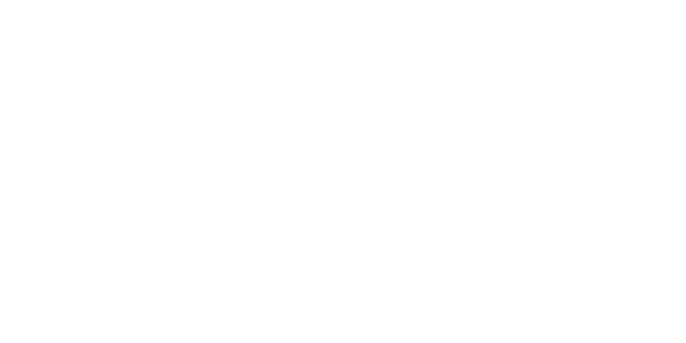 01 logo rhoenoel footer